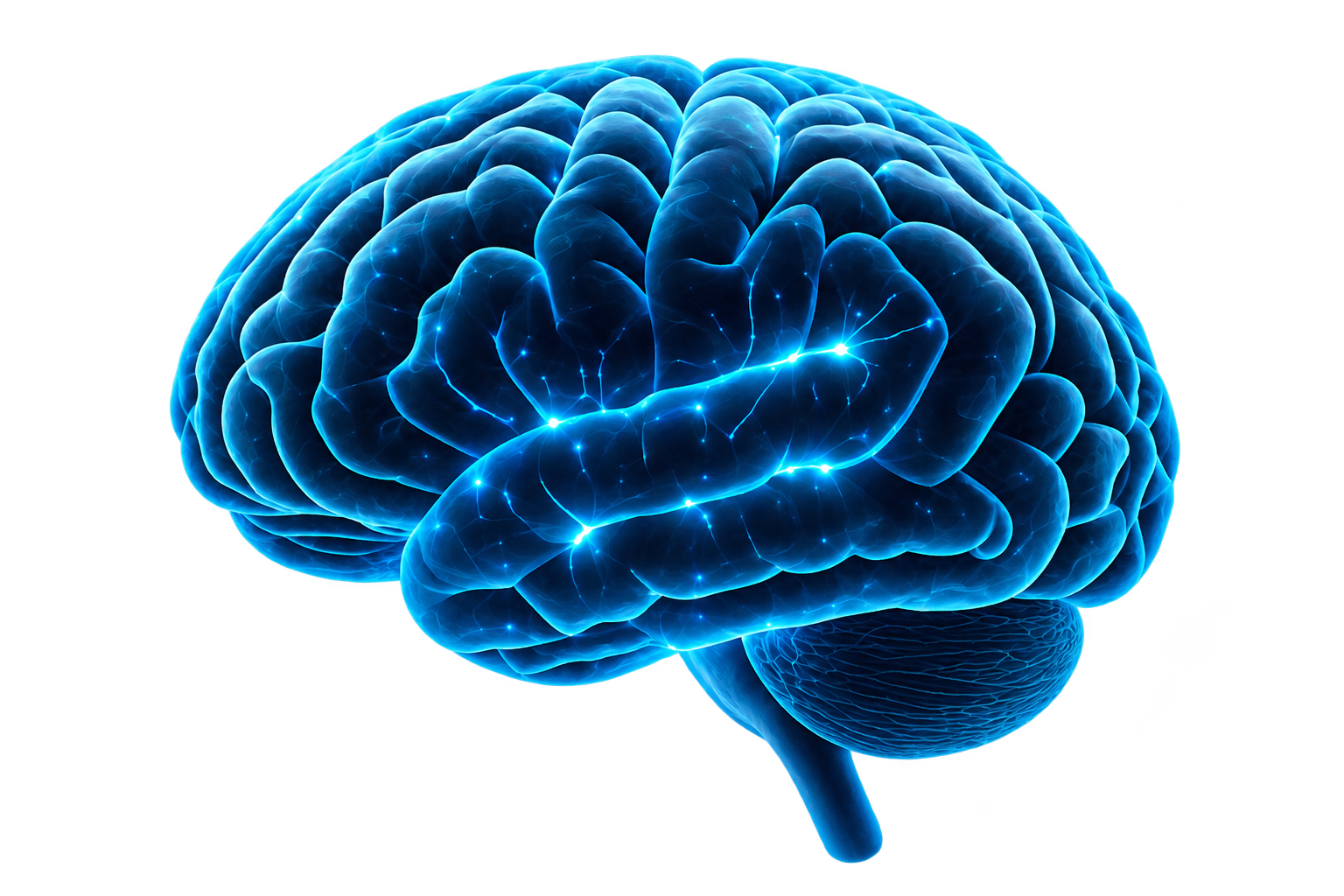 brain transparent compressed
